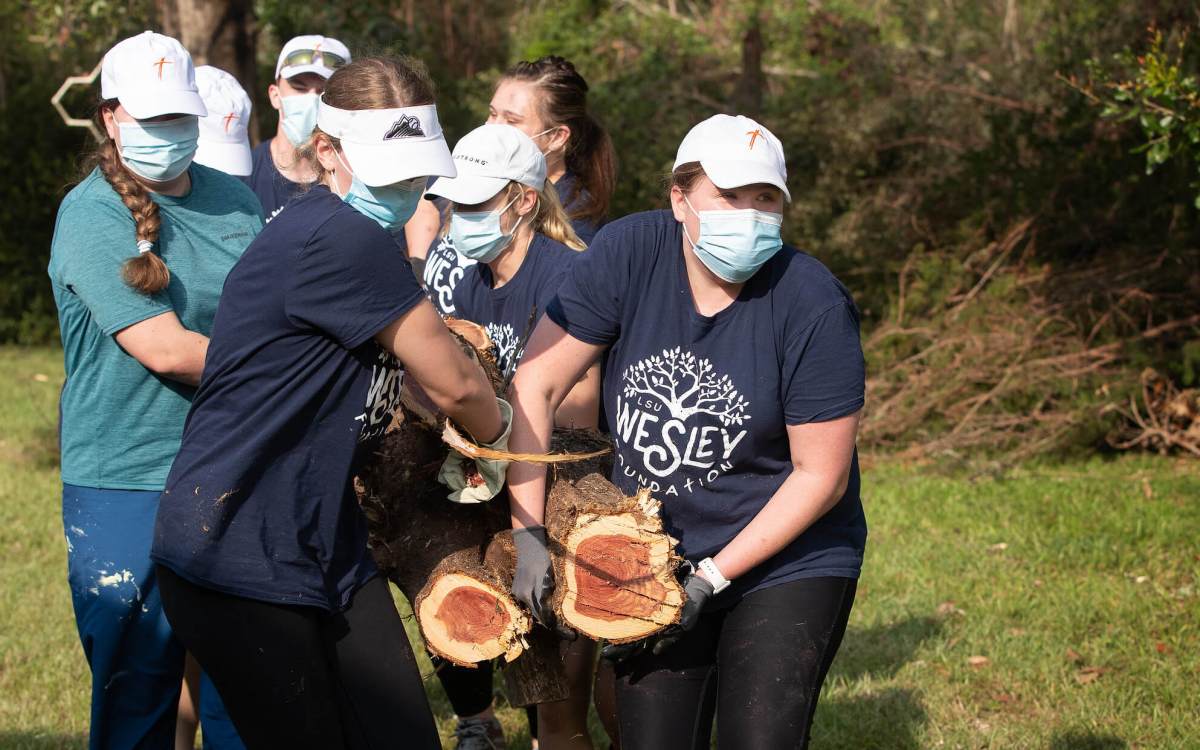 volunteers carrying trees