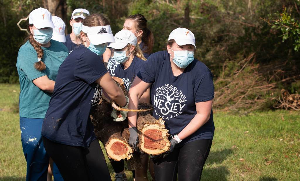 volunteers carrying trees